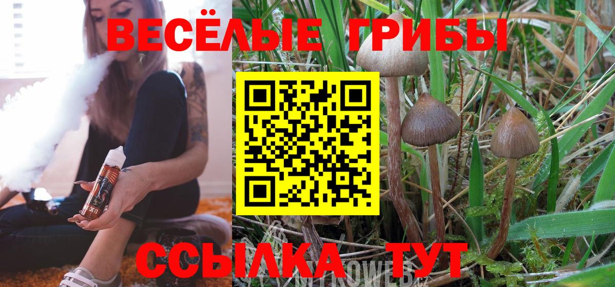 Арсеньев  Псилоцибиновые грибы Magic Shrooms  Вход с VPN  Галлюциногенные грибы прущие грибы 